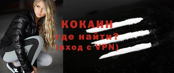 винт Абаза