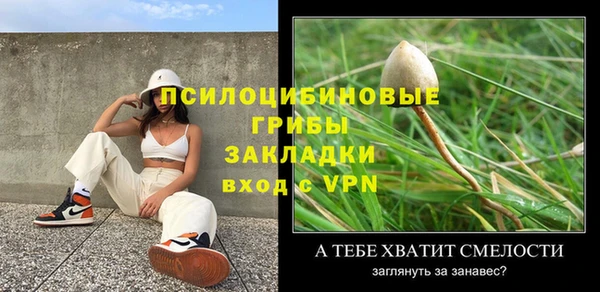 индика Алексеевка