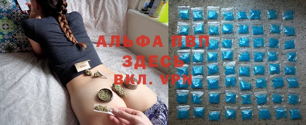 индика Алексеевка