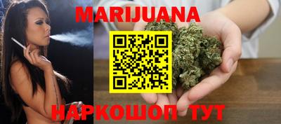 крисы Нальчик